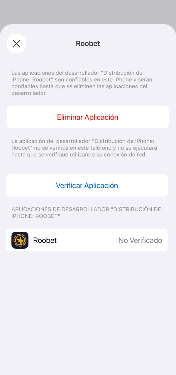 Da permisos de confianza a Roobet App iOS en Apple.