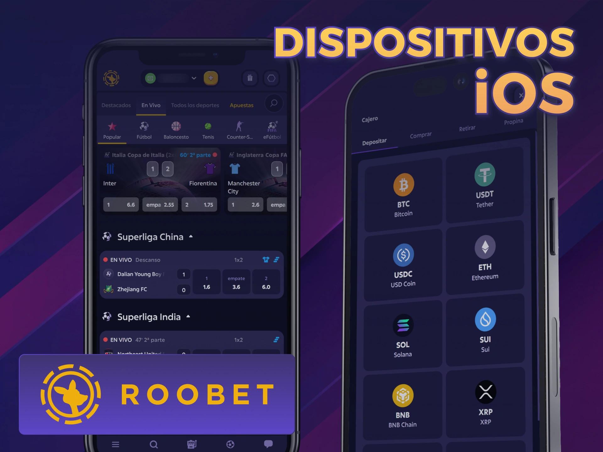 Consultá los modelos iPhone aptos para Roobet App iOS.