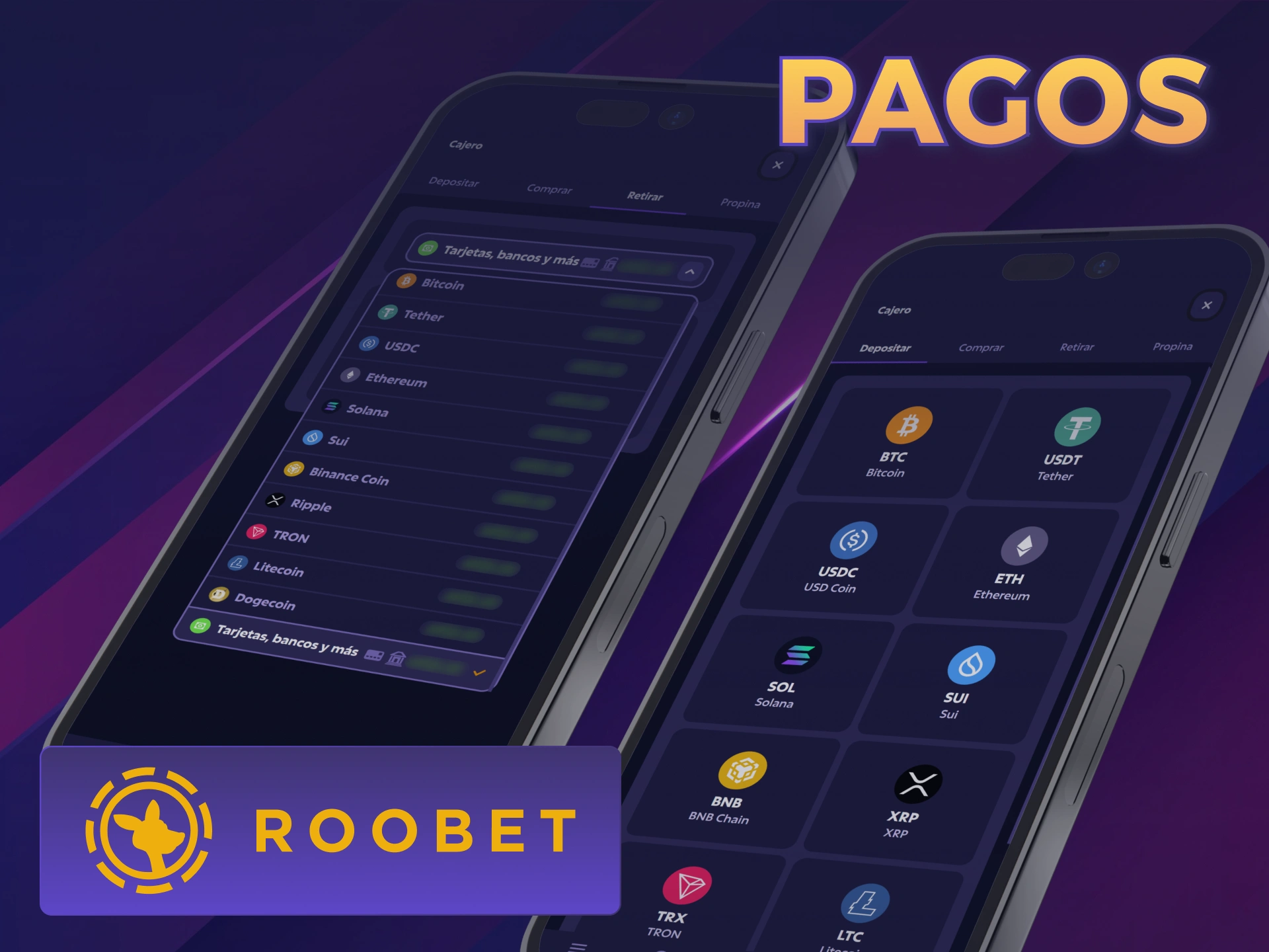 Realizá pagos seguros en la App Roobet desde Argentina.