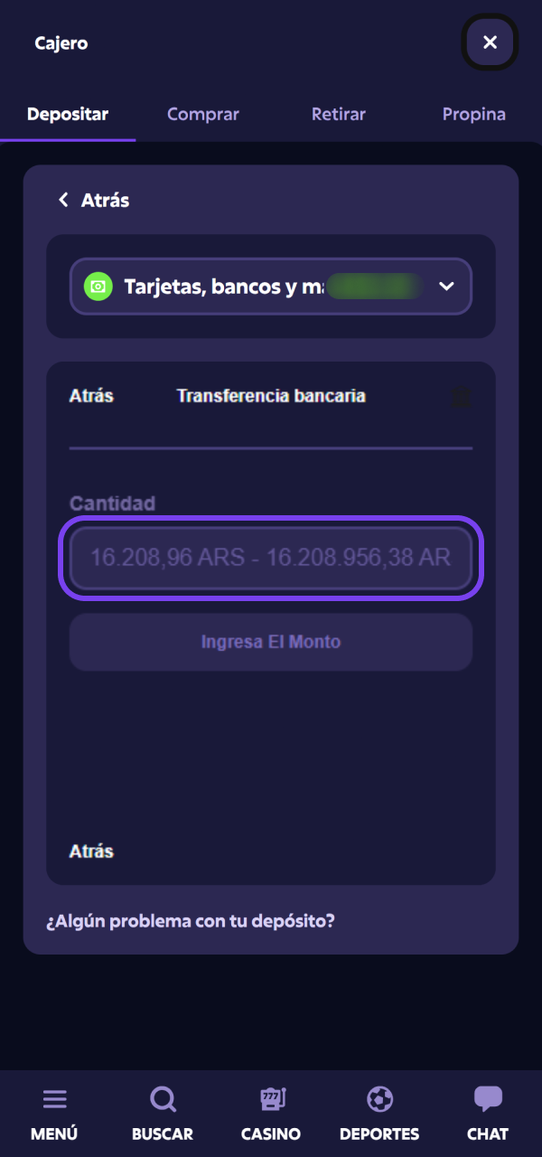 Definí la cantidad de dinero para tu Depósito Roobet oficial.