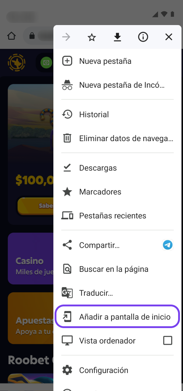 Accedé a la versión web mediante la Roobet PWA Android.