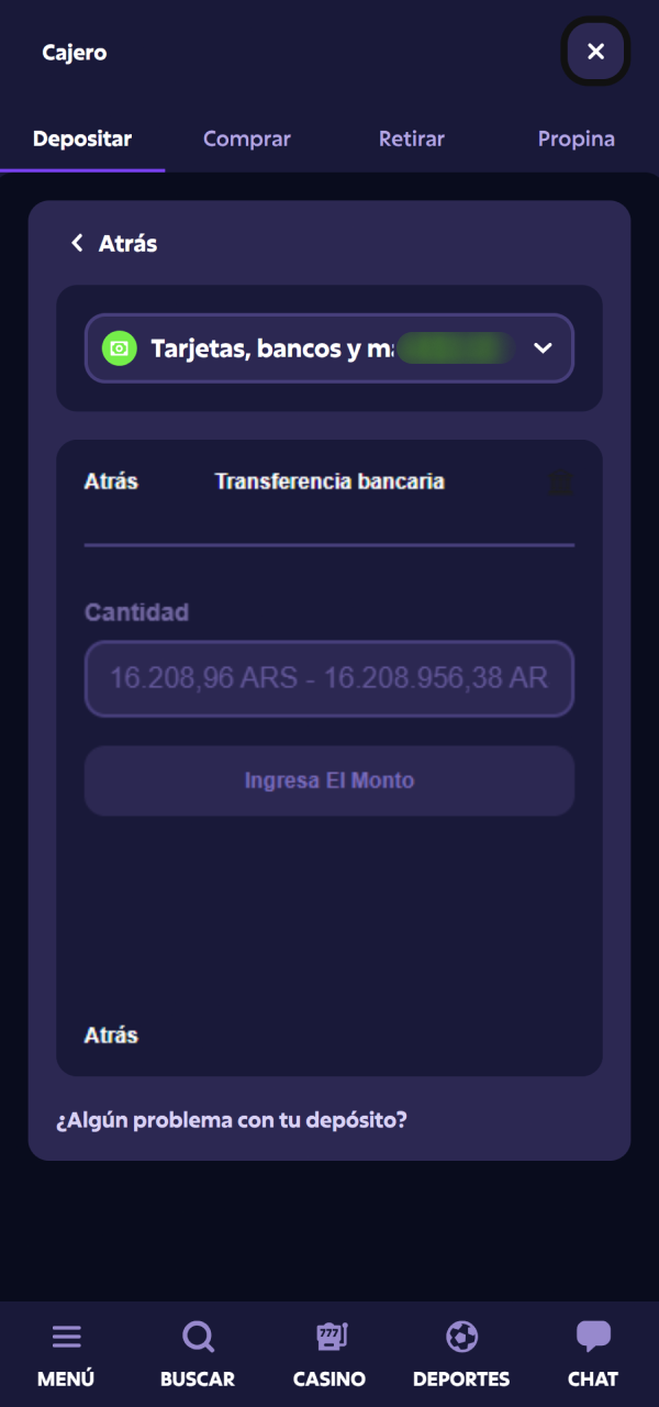 Cargá saldo para jugar al Tenis en Roobet usando métodos seguros.